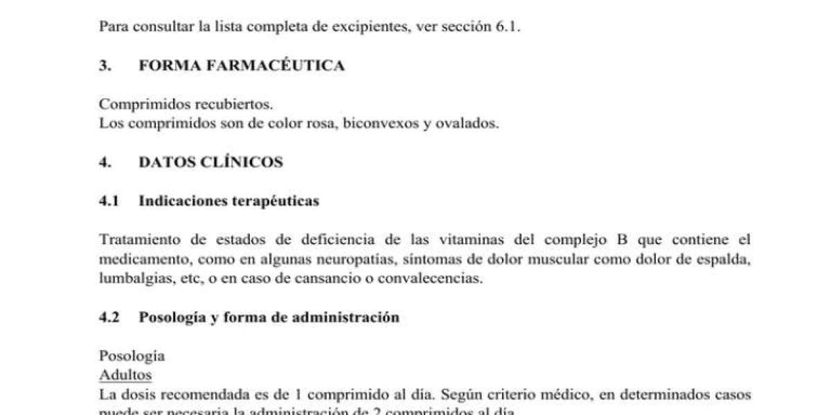 Ruda: propiedades, para qué sirve y contraindicaciones Guía completa